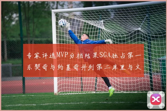 专家评选MVP分档结果SGA独占第一东契奇与约基奇并列第二库里与文班位列第四