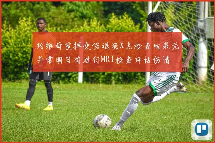 约维奇重摔受伤退场X光检查结果无异常明日将进行MRI检查评估伤情