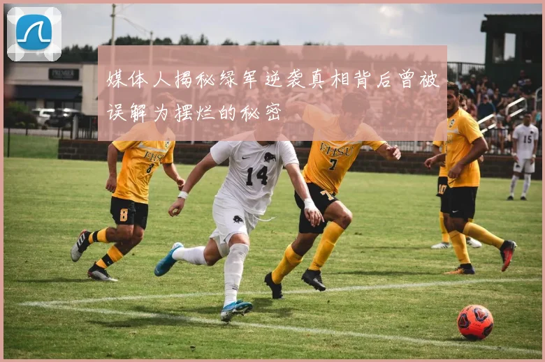 媒体人揭秘绿军逆袭真相背后曾被误解为摆烂的秘密