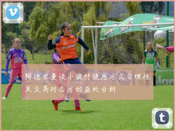 阿德尔曼谈小波特使用方式合理性及交易对各方的益处分析
