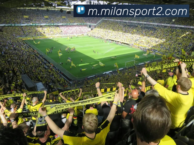 米兰体育服务体系